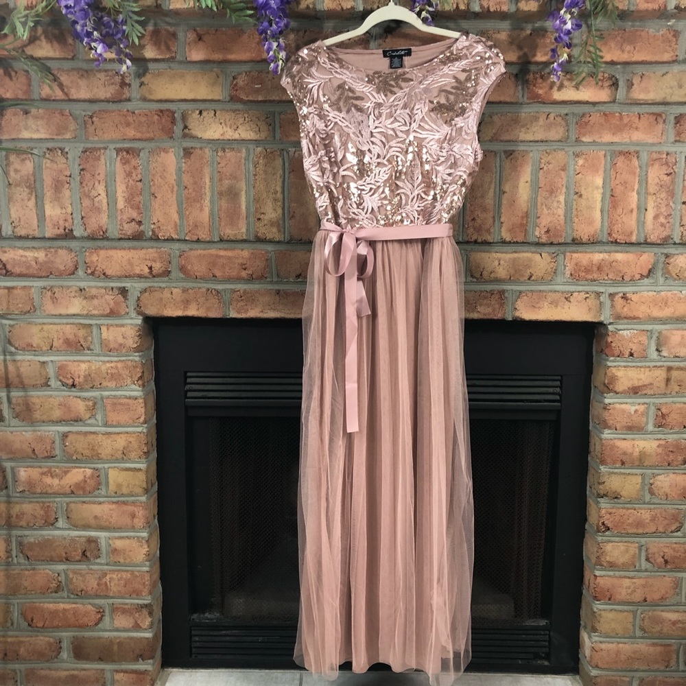 Candalite Lace & Sequin Event Dress.🌹